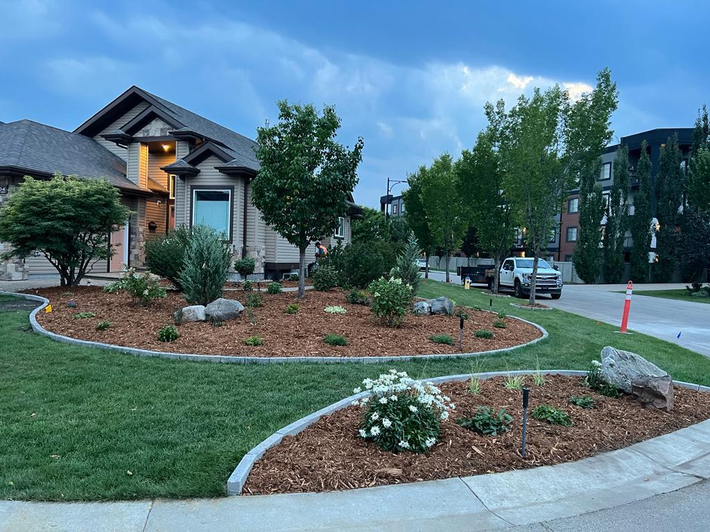 a39ed2a9 1e1d 4337 9e61 0e6a6c1a6364